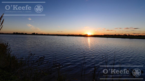 Lote En Venta En Puerto Nizuc - Oportunidad De Inversión En Guillermo Hudson