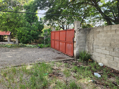 Granja Avicola Ventas La Ciénaga