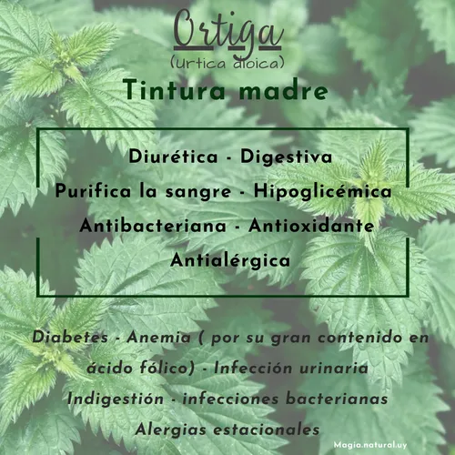 Tintura Madre De Ortiga.30ml. Magia Natural.
