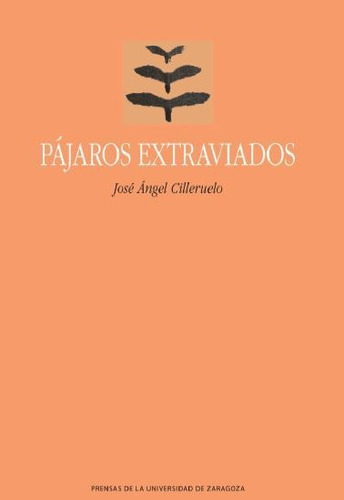 Pájaros Extraviados, De José Ángel Cilleruelo. Editorial Espana-silu, Tapa Blanda, Edición 2019 En Español
