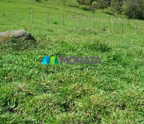 Imagem 7 de 15 de Fazenda - Zona Rural - Ref: 4818 - V-mta4818