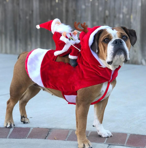 Adornos De Navidad Adornos Para Perros Y Gatos Ropa De