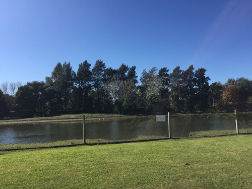 Imagen 8 de 16 de Terreno En Venta En Ezeiza
