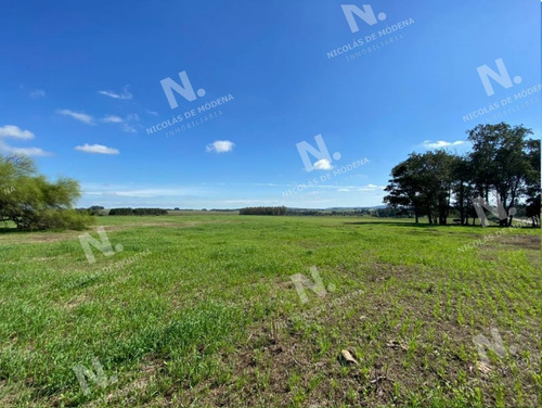 Imagen 7 de 15 de Venta Campo En Maldonado - Maldonado
