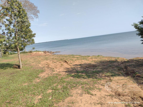 Imagen 4 de 5 de Venta Terreno Con Playa Privada, Santa Tecla Ituzaingo Corrientes.