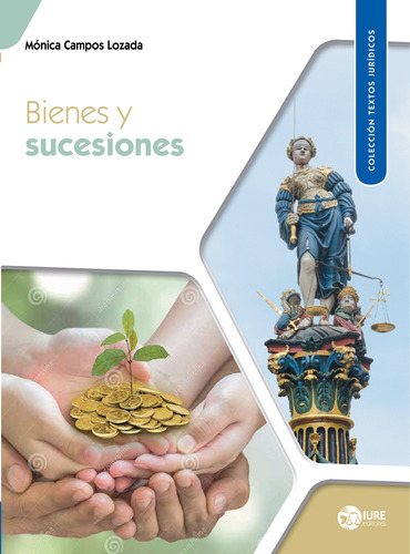 Libro Bienes Y Sucesiones Lku