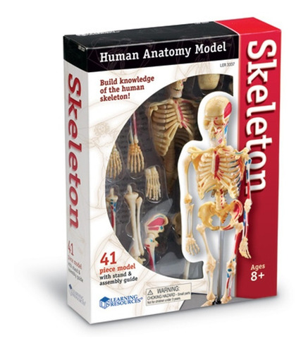 Modelo De Anatomía Humana 4d  Esqueleto Humano 41 Piezas 