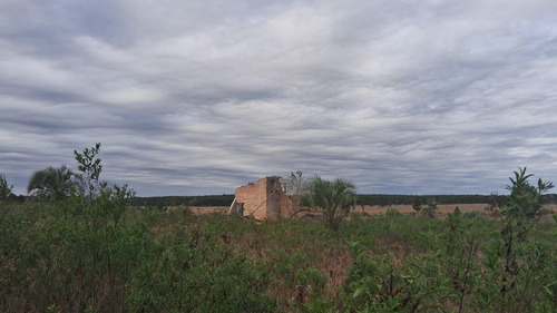 Campo En Osvaldo Magnasco