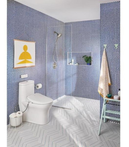 Moen Magnétix Regadera De Teléfono Para Ducha Plateado (Usado)