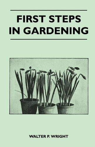 First Steps In Gardening  A Concise Introduction To Practica