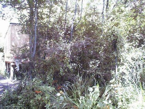 Imagen 2 de 4 de Fraccion 11 Ha En Venta Isla - Zona Delta Escobar