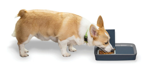 Alimentador Digital De Dos Comidas Petsafe Para Perro