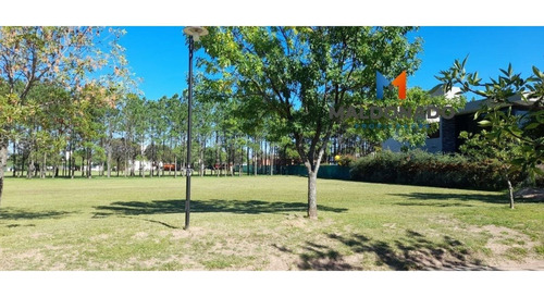 Imagen 11 de 12 de Venta Lotes En Chacras De La Villa