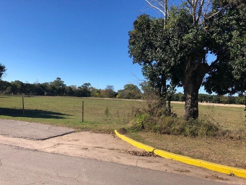 Imagen 6 de 8 de Lote 41 Villa Chicha