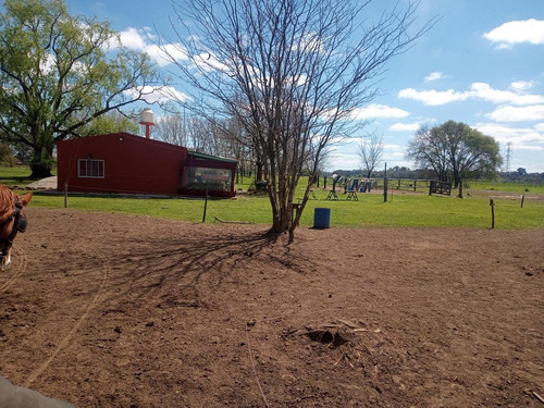 Imagen 18 de 30 de Campo En Venta Zona Polo, Pilar, Con 2 Canchas De Polo Y Varias Mejoras