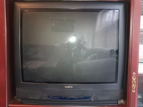 Tv 21 Pulgadas Modelo Vizon, Marca Sanyo, Pantalla Plana. en Córdoba Vende