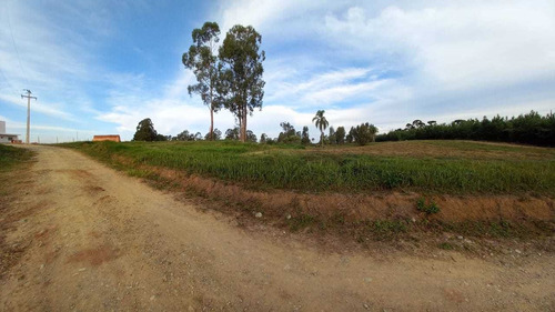 Imagem 9 de 12 de Chácara Em Eucaliptos, Fazenda Rio Grande/pr De 20000m² 1 Quartos À Venda Por R$ 180.000,00 - Ch1510288-s