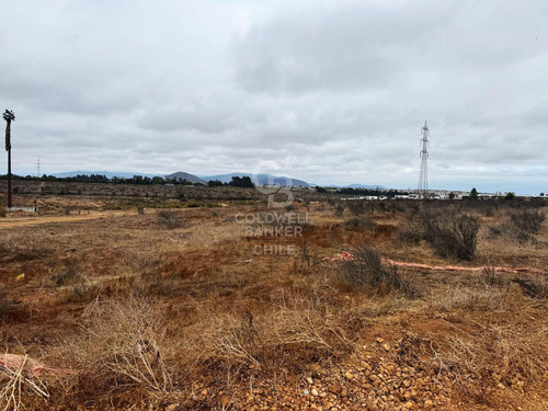 Terrenos Para Desarrollo La Serena / Cuatro Esquinas
