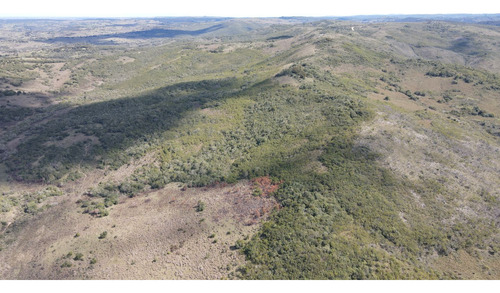 Campo En Rocha De 137ha (ref: Atm-6803)