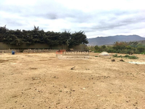 Imagen 4 de 8 de Sitio En Arriendo En La Serena