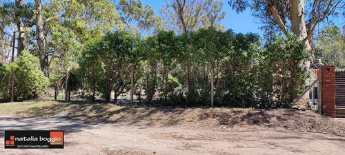 Imagen 3 de 12 de Lote Barrio Bristol Sarmiento Y 25 De Mayo 300 Mts2