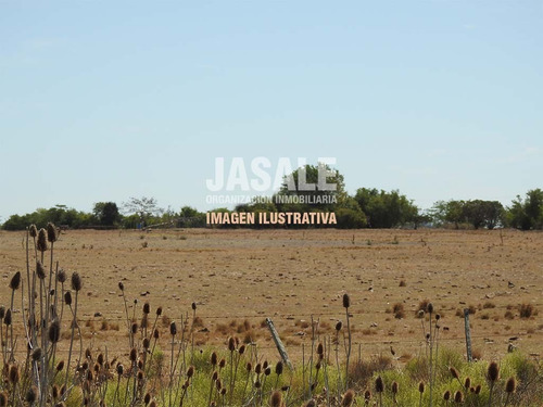 14 Has Horticultura En Venta - Ignacio Correas, La Plata