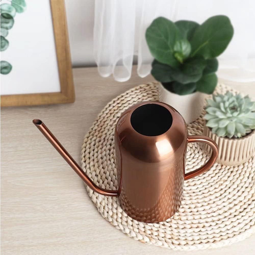 Regadera Para Plantas De Interior, 50 Oz/1500 Ml, Metal Inox
