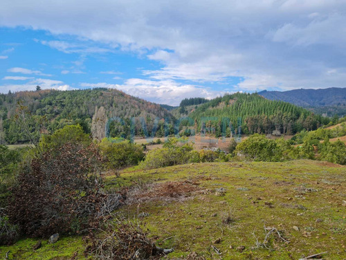 Tranquila Parcela 0,5ha Tranquilidad (92297)