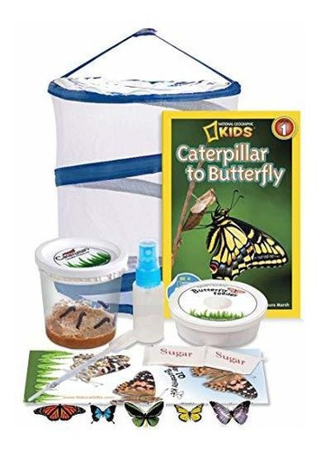 Juego Educativo De Cienci Nature Gift Live Butterfly Growing