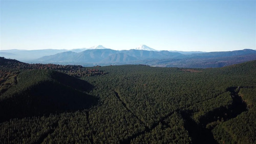 Agrícola En Venta En Temuco