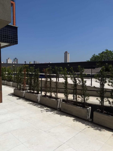 Imagem 14 de 14 de Ótimo Apartamento 3 Dormitórios Sendo 1 Suite - Vila Curuça