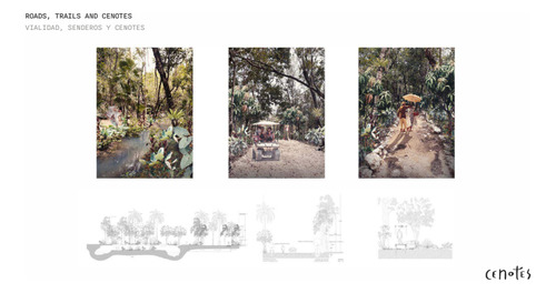 Terrenos En Venta 101 Cenotes En La Majestuosa Selva De Tulum.