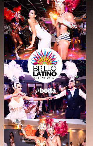 Brillo Latino Shows