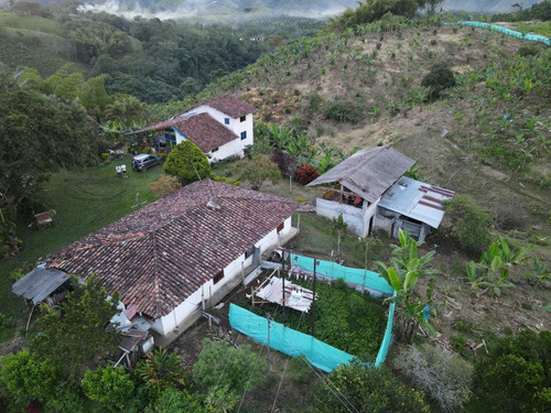 Imagen 24 de 30 de Venta De Finca En Pereira Vereda Combia .