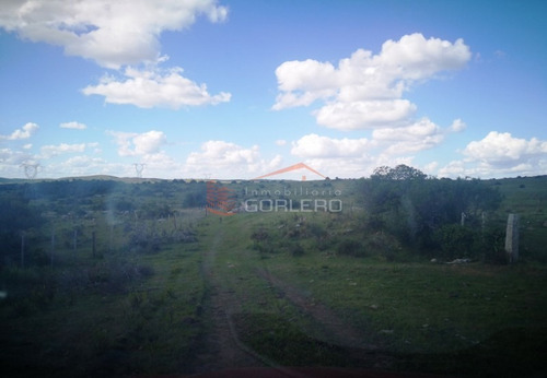 Campo Ganadero En Venta En Maldonado, A 60 Km De Punta Del Este- Ref: 26296