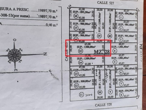 Imagen 2 de 5 de Lote En Venta El Pato 1300m2