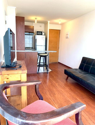 Departamento 1 Dormitorio En Suite Con Gran Terraza