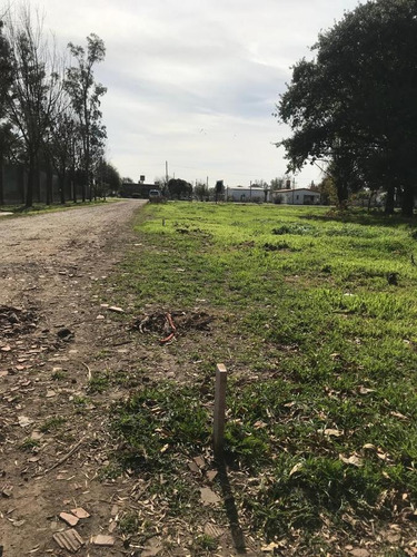 Imagen 8 de 30 de Terreno - Ibarlucea