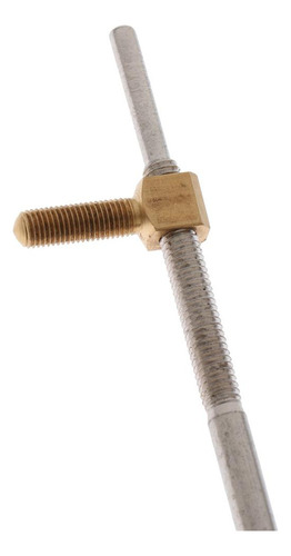 Peça De Instrumento Musical De De Sapo De De Contrabaixo