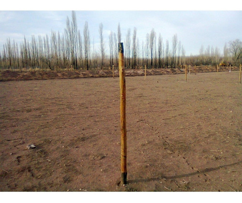 Imagen 3 de 15 de Terreno En Malargue Mendoza!