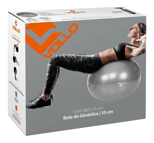 Bola Suiça Gym Ball 55 Cm Cinza C/ Bomba - Vollo- Fisiofit 