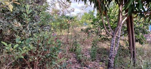 Lote Na Corumba4 5000 Mts Com Casa 3 Quartos 2 Banheiros Sal
