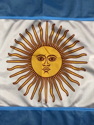 Imagen 7 de 8 de Bandera Argentina De Flameo *75x120cms* - Oficial Reforzada