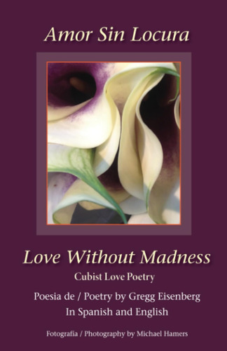 Libro: Amor Sin Locura Love Without Madness