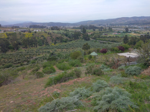 Sector Las Gaviotas