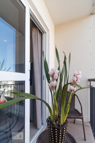 Imagem 15 de 15 de Apartamento Para Aluguel - Vila Mascote, 2 Quartos, 54 M² - 893375450