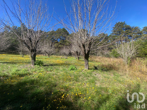 Venta Terreno 0 Ambiente Las Peras