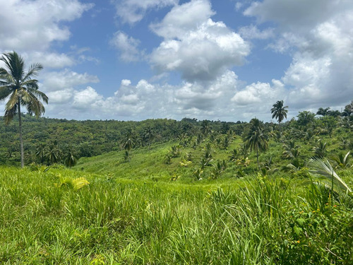 Te Vendo Finca En Hato Mayor Del Rey/republica Dominicana.