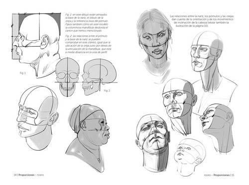 Libro Anatomía Artística 10. Cabeza Y Cuello: Cabeza Y Cuello, De Michel Lauricella. Editorial Gustavo Gili, Tapa Blanda, Edición 1 En Español, 2024
