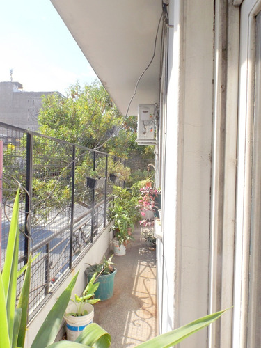 Imagen 4 de 14 de Scalabrini Ortíz Al 500, Villa Crespo. Primer Piso Por Escalera. Balcón Corrido Al Frente A La Calle. Superficie 95 M2. 4 Ambientes. 3 Dormitorios. 2 Baños. Dependencias. Patio. Doble Entrada Al Depto